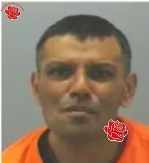 Abdul Sabe – profile image